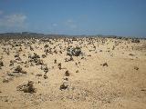 Stone Cairns near Ruins