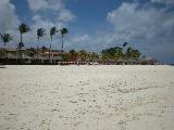 Red and White Barriers are Turtle Nests