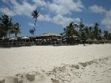 Divi Bar