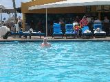 Tamarijn Pool