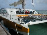 The Snorkelling Trip