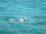 Paul Snorkelling