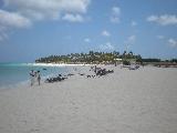 Compare our Beach to Palm
