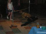Limbo at the Tamarijn
